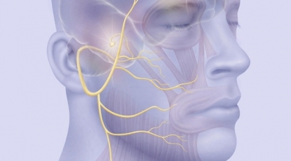 Доступно для ознакомления руководство по ведению пациентов с острой нейропатией лицевого нерва (2020)
