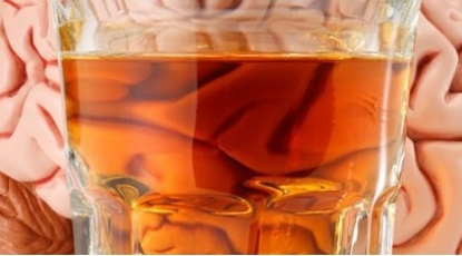 Нет безопасного уровня потребления алкоголя для здоровья головного мозга
