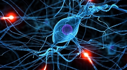Инсульт приводит к возникновению аномально функционирующих нервных клеток